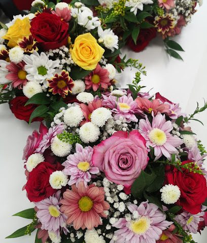 معرض مفروشات مجان - نزوى - +968 25 410323