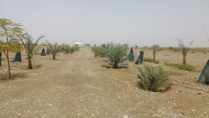 مزرعة الروضة - سويد الماء ، - +968 9202 2109