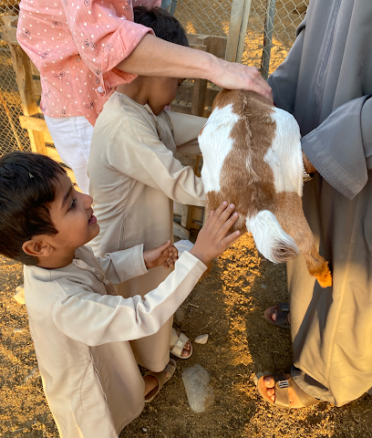 Djinnie Farm مزرعةجن - مسقط - +968 7940 2135