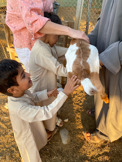 Djinnie Farm مزرعةجن - Oman|Muscat|111|next to the fort