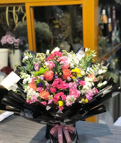 شمس فلور زهرة شمس - ديل ال عبدالسلام - +968 9771 6774