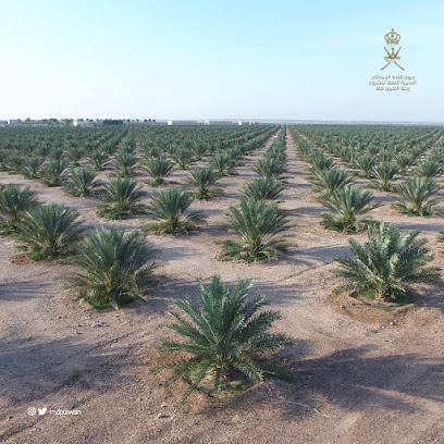 ديوان البلاط السلطاني - مزرعة عبري - تنعم -