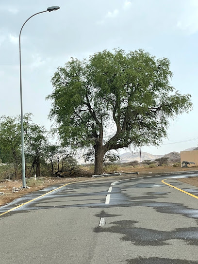 مزرعة مزرعة مصبح الشامسي - Oman|العقيدة|6X6C+HCQ