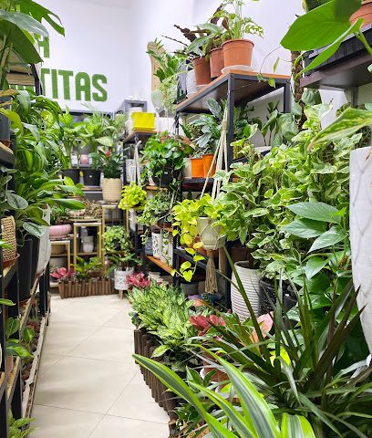 Ola Plantitas - مسقط - +968 7154 2733