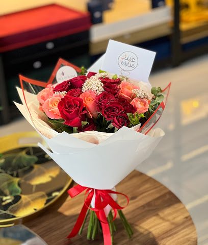 اليورينا نخل اليورينا نخل - نخل - +968 9129 9555