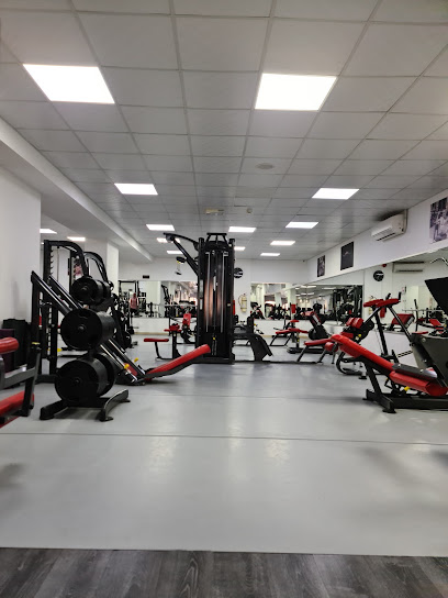 الصفوة للياقة ELITE GYM - Oman|Muscat