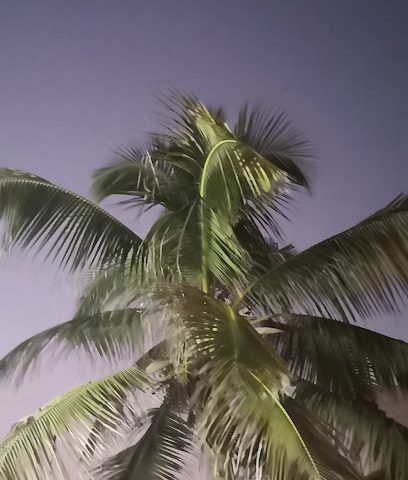 سنتارا مسقط عمان ، غلا - مسقط - +968 24 236600