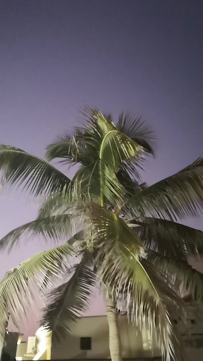 سنتارا مسقط عمان ، غلا - Oman|Muscat|G9RJ+33X