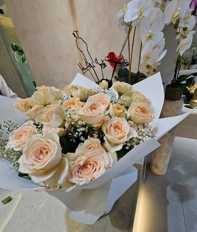 ضياء ديـا - السيب - +968 7722 6677