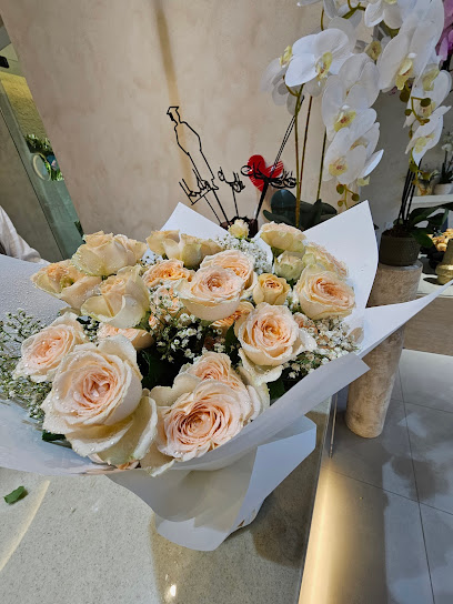 ضياء ديـا - Oman|Seeb|Al Mazoon St