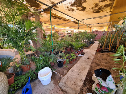 Wakan Gardens Center مركز حدائق وكان - مسقط - +968 9784 6185