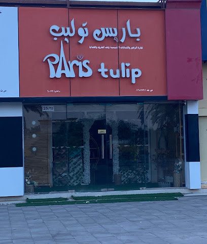 باريس توليب - الخابورة -