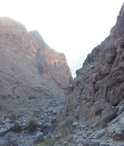 ملعب فريق النجد الرياضي - العافية -