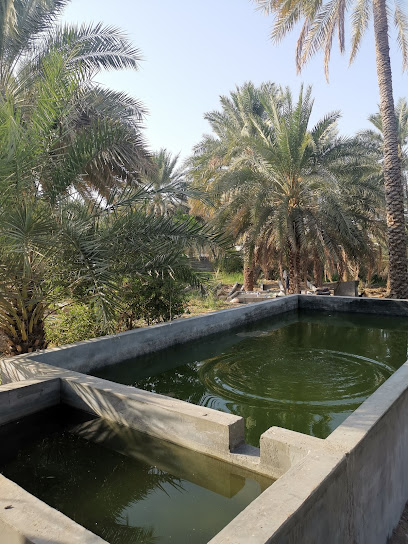 $1 - Oman|Unnamed Road