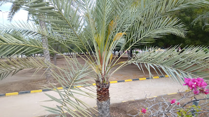 حديقة صحم - صحم -