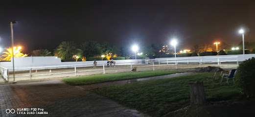 صولجان الخيل - السيب -
