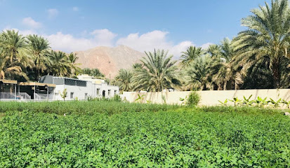 مزرعة بهجة القلوب - Imti - +968 9549 5889