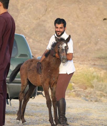 مدرسة النجوم لتعليم الفروسية - وادي الشباك - +968 7901 3008