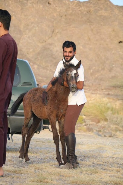 مدرسة النجوم لتعليم الفروسية - Oman|وادي الشباك|WV5V+G3