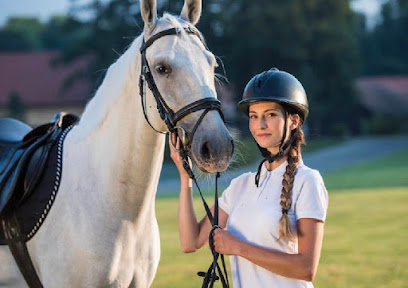 أكاديمية صلالة الدولية لركوب الخيل - صلالة - +968 9750 2205
