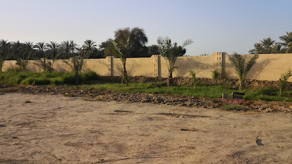 مزرعة خليفة بن سيف بن سلطان الجابري - صحار -