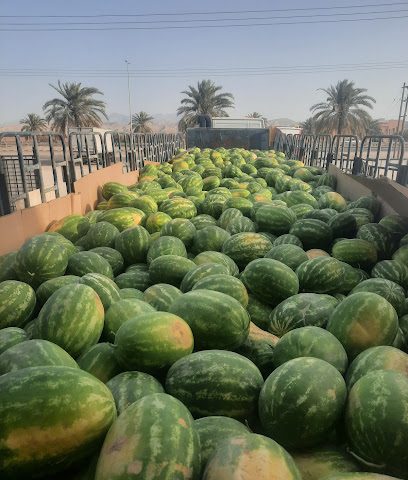 محل لولو للخضار والفواكه - الموالح - السيب - +968 24 810609