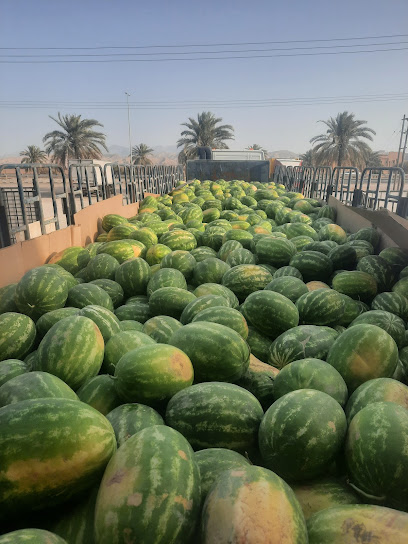 محل لولو للخضار والفواكه - الموالح - Oman|436|Bldg 142