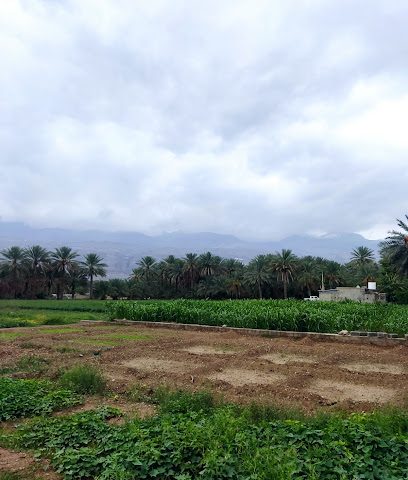 طوي الزامة - الحمرا -