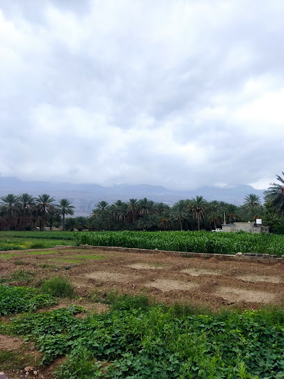 طوي الزامة - Oman|Al Hamra