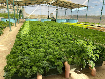العرفان أكوابونيك - الرميس - +968 9927 7777