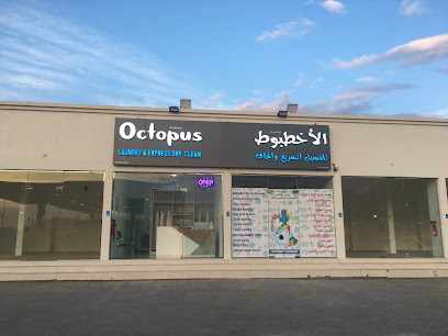 مغسلة الأخطبوط والتنظيف الجاف السريع الاخطبوط للغسيل الجاف والسريع - المغرة - +968 9702 5585