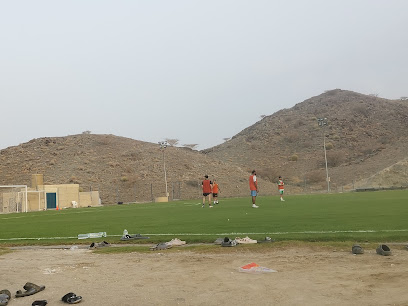 فريق طوي منصور الرياضي - فانجا -