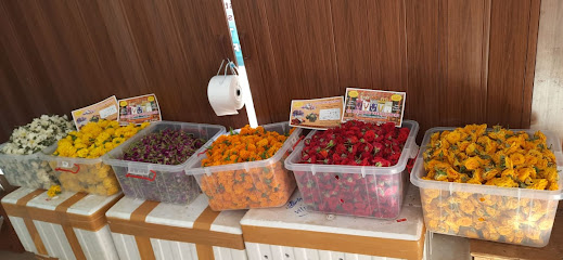 سرايميناكس - صحار - صحار - +968 7210 0145
