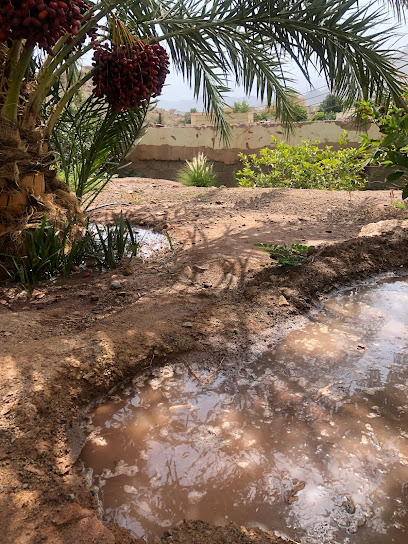 السائد - Oman|Al Hamra|Unnamed Road|473V+VHF