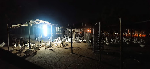 مزرعة بولوتاري بركاء - الشخاخيط -