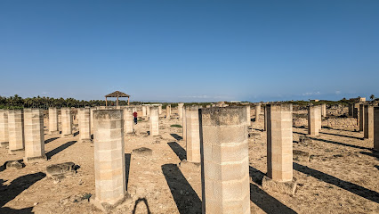 منتزه البليد الأثري - صلالة -