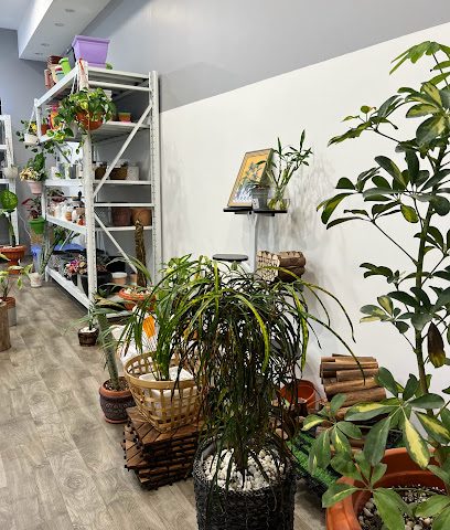 Urbanfarm.om - السيب - +968 9880 4933