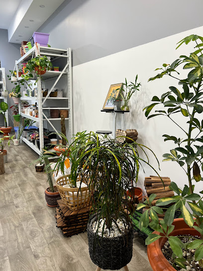 Urbanfarm.om - Oman|Seeb|J3WP+JM2