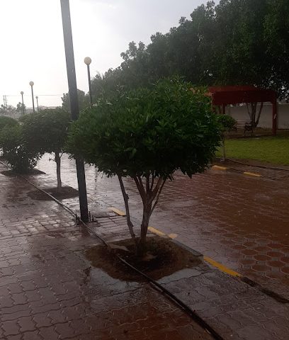 حديقة الخالدية - روميل -