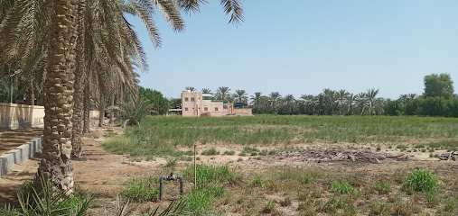 نصر الإسلام - المصنعة - +968 9029 9575